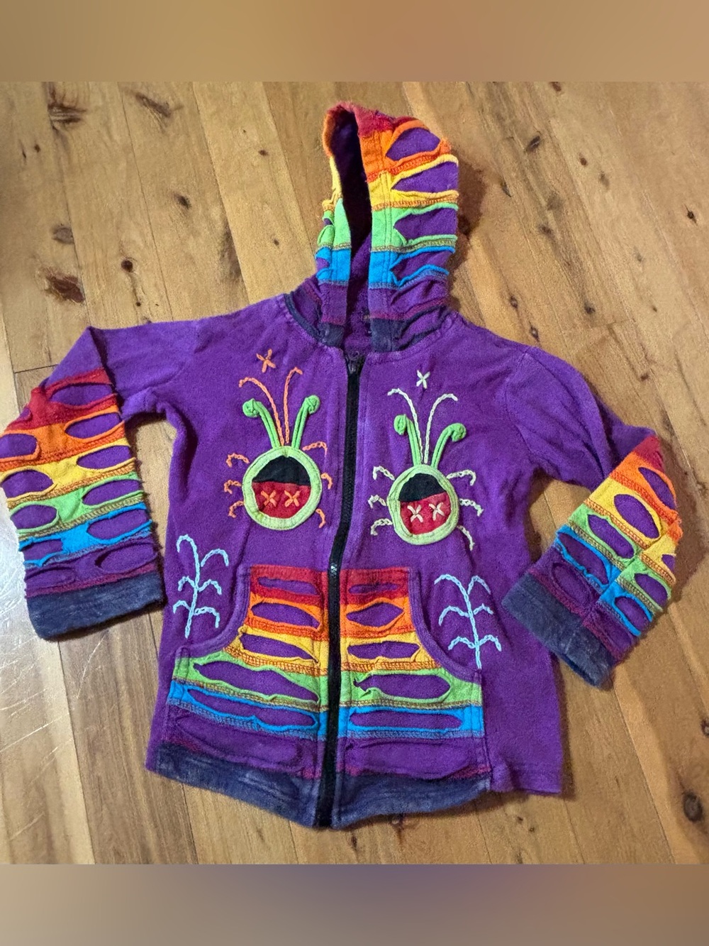 Rising International Purple Rainbow Hooded Zip Up Sweatshirt Girl’s 10 Ladybugs